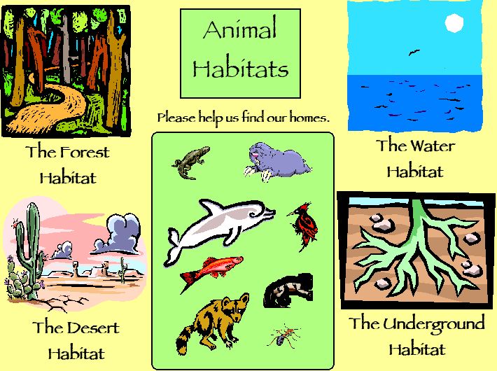 Habitat Chart